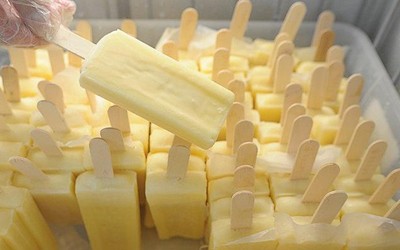 10 Molds Basket Style Ataforma Finamac Fruit Popsicle Ice Cream Machine/Ice Lolly Making Machine/Ice Pop Machine - Popsicle Machine - 6