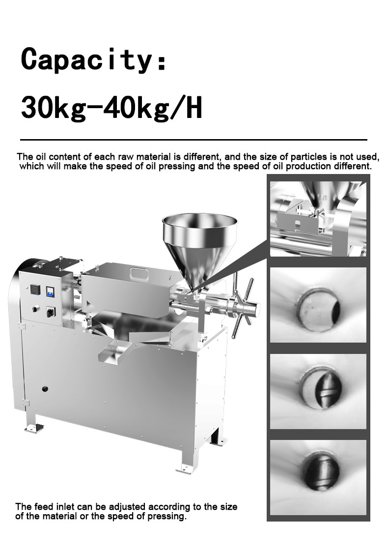 S06 stainless steel intelligent oil press  capacity 30-40kg/h - Commercial Using Noodel Machine - 5
