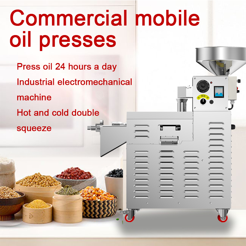 S03 stainless steel intelligent oil press  capacity 15-20kg/h - Commercial Using Noodel Machine - 1