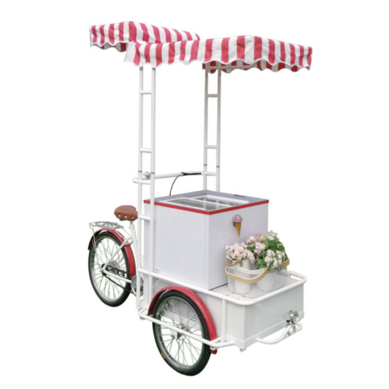 Electric Bicycle Ice Cream Mall Kiosk Vehicle Ice Cream Tricycle Freezer Tricycle Freezer Refrigerated Showcase Popsicle Bike