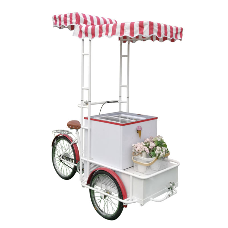 Mobile Gelato Ice Cream Cart / Popsicle Ice Cream Cart Beach Hand Push Cart Freezer Italian Gelato Display for Sale with CE