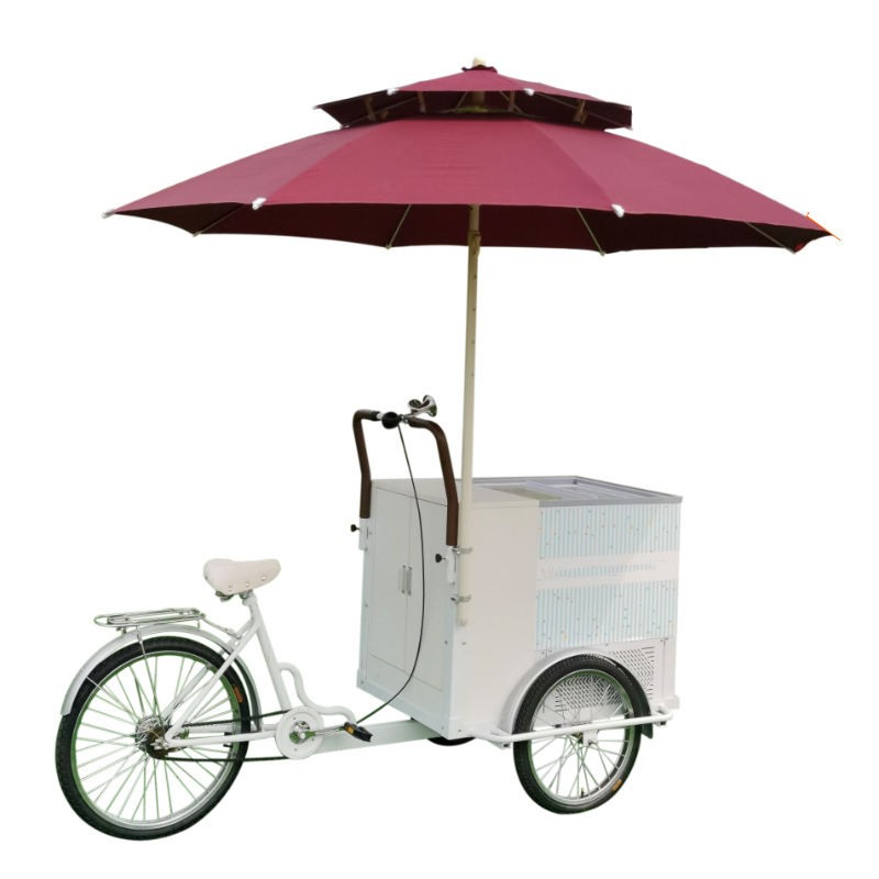 热销冷藏自行车带 220v 交流冰柜电动冰淇淋电动三轮车三轮商用自行车食品车